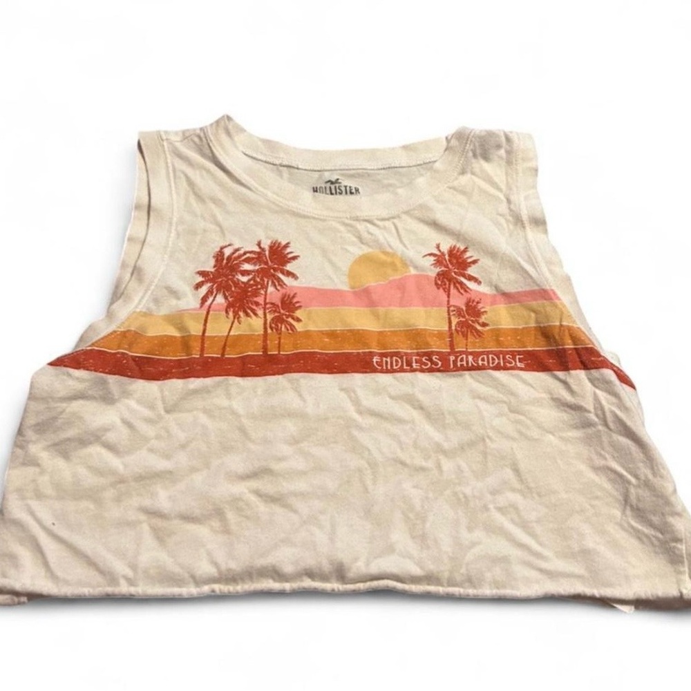 Hollister Crop Top